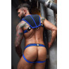 Breedwell Harnais Intimidator Breedwell Noir-Bleu